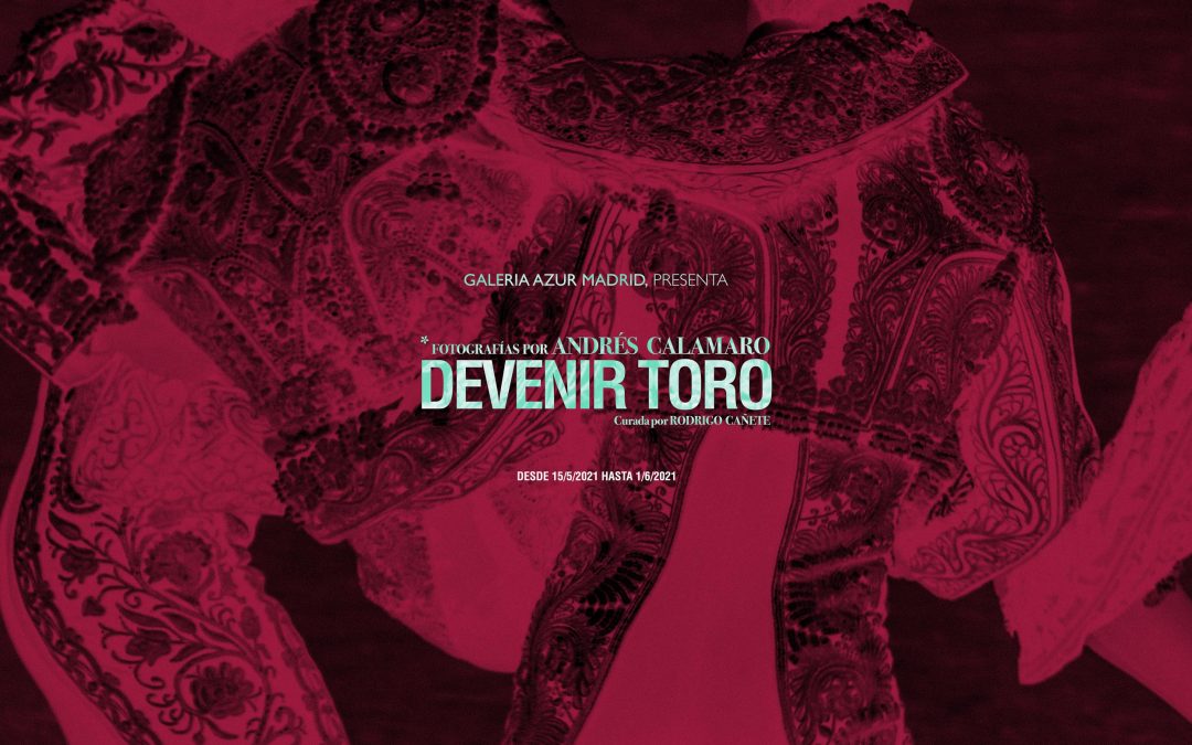 DEVENIR TORO. Fotografías por Andrés Calamaro. Curada por Rodrigo Cañete