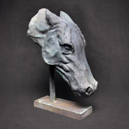 Horse's Head