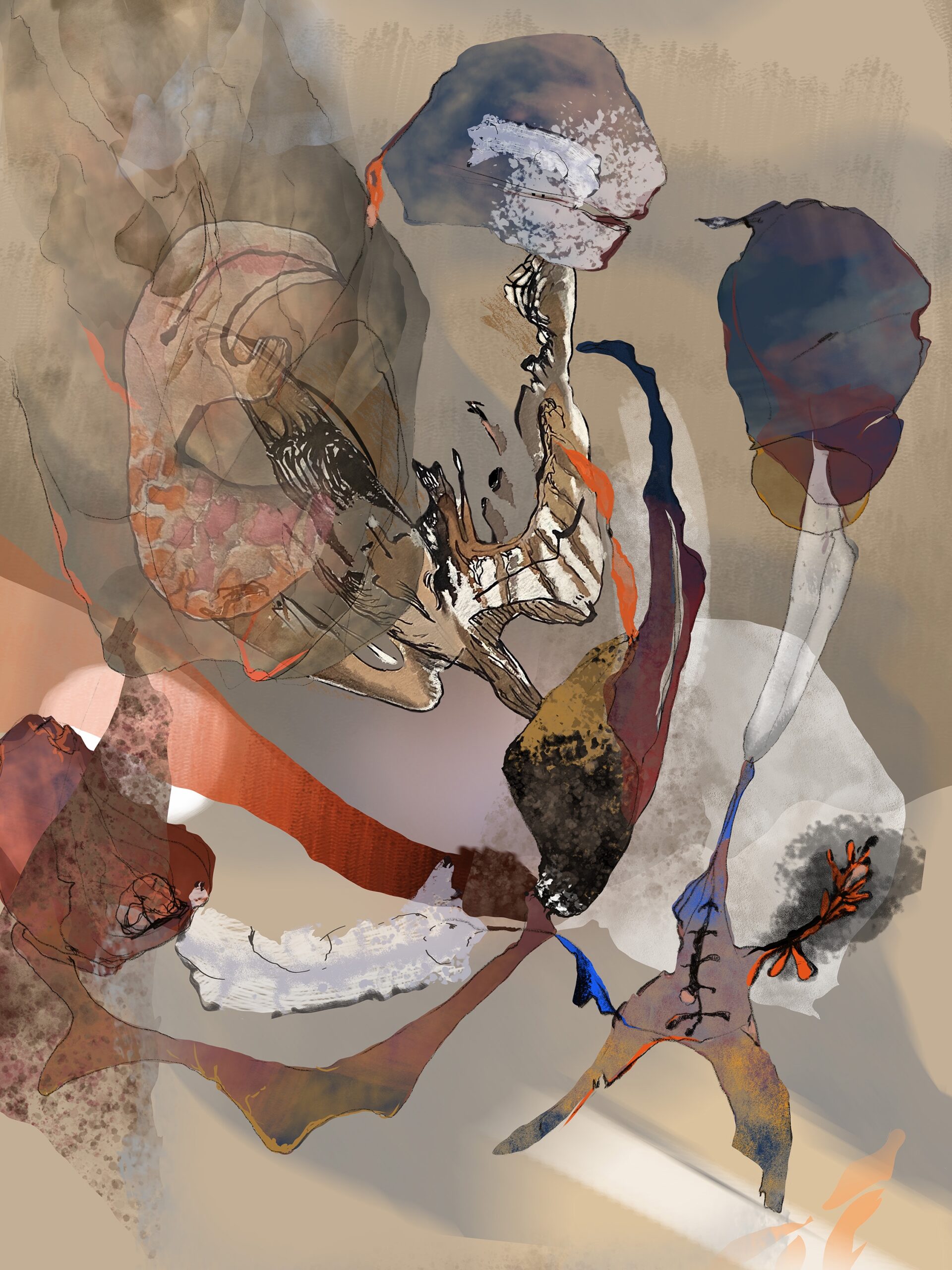 PTASIE-WARIACJE1-scaled