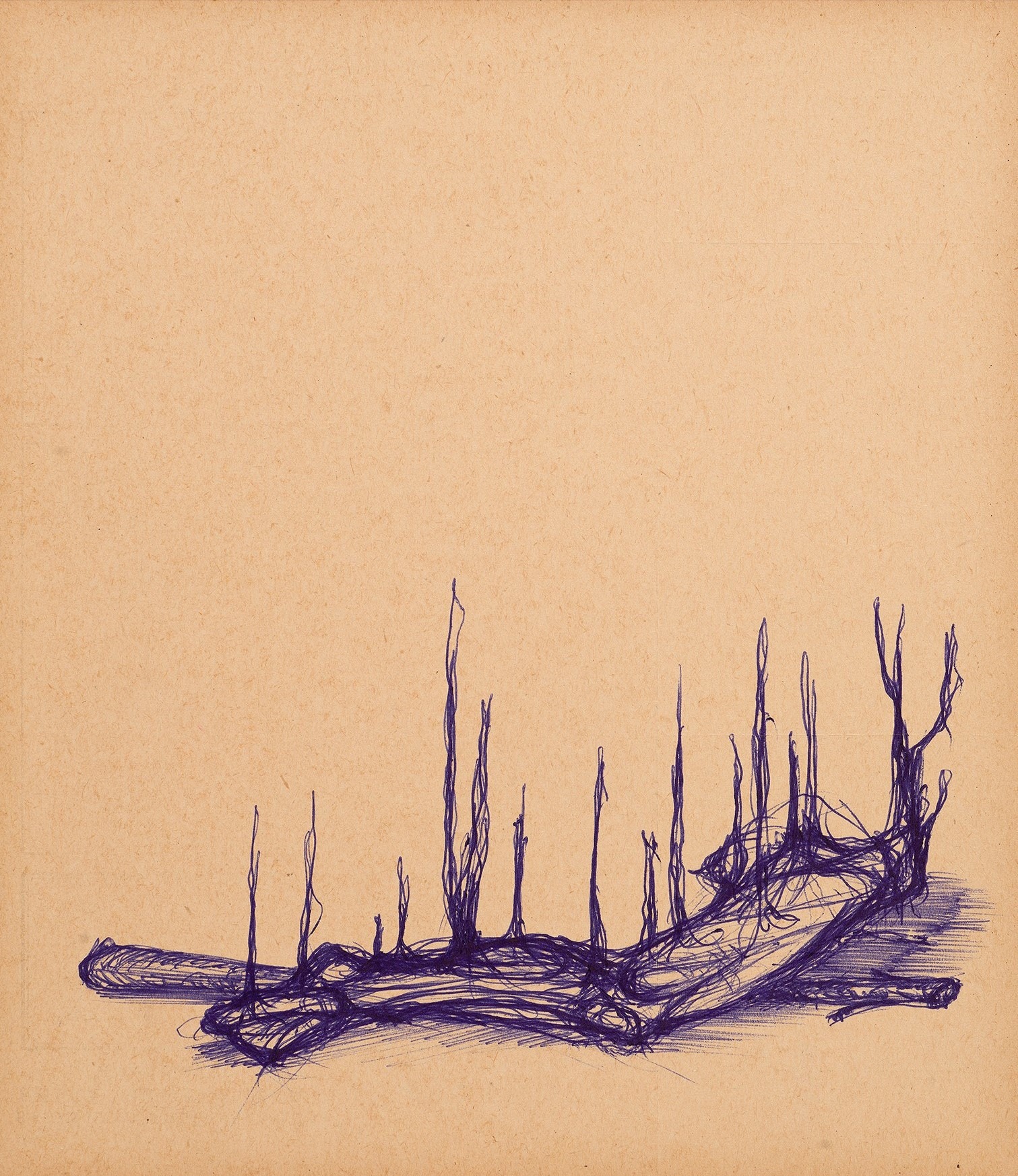 Metamorph-Nature-2.GAweb_